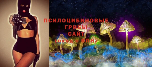 ешки Нефтегорск