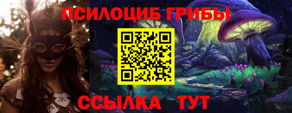 Галлюциногенные грибы Psilocybe  Вход с VPN  Чистополь  Псилоцибиновые грибы мухоморы 